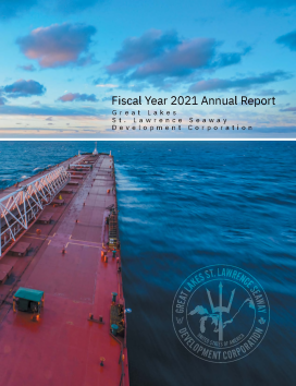 FY 2021 Annual Report